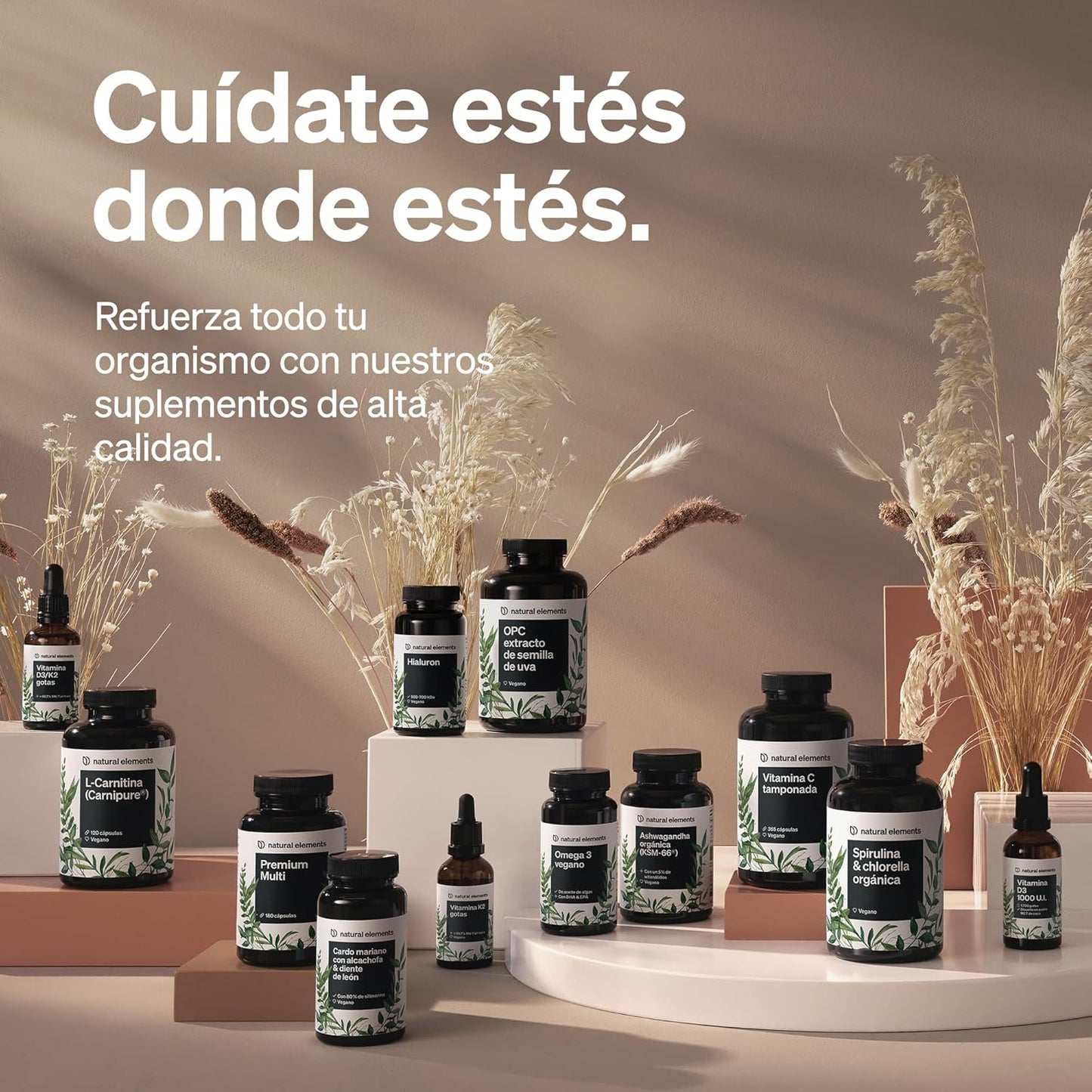L-Lisina - Fabricado En Alemania - 365 Cápsulas - 1.000 Mg Por Dosis Diaria - Procedente De Fermentación Vegetal - Producto Vegano, Alta Dosificación, Sin Aditivos